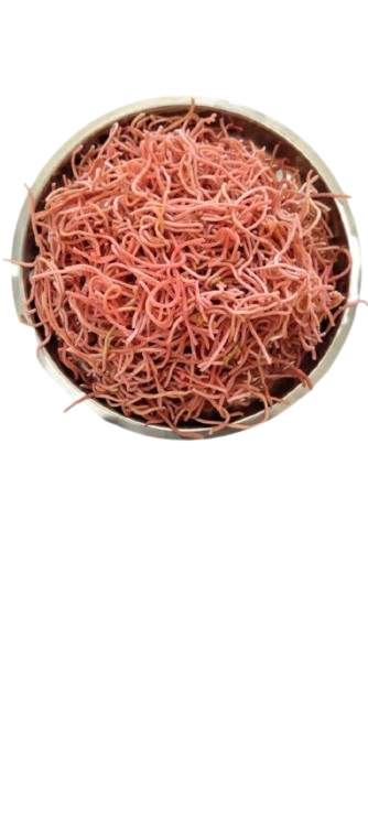 Beetroot Shevai